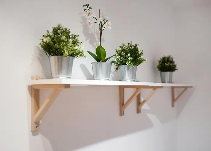 Pensjonat Super Kochanowskiego 32